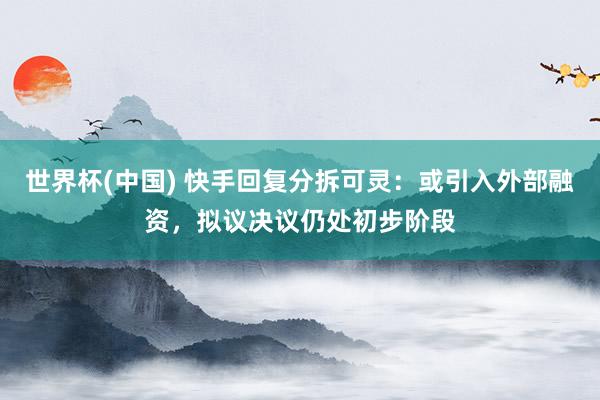 世界杯(中国) 快手回复分拆可灵：或引入外部融资，拟议决议仍处初步阶段