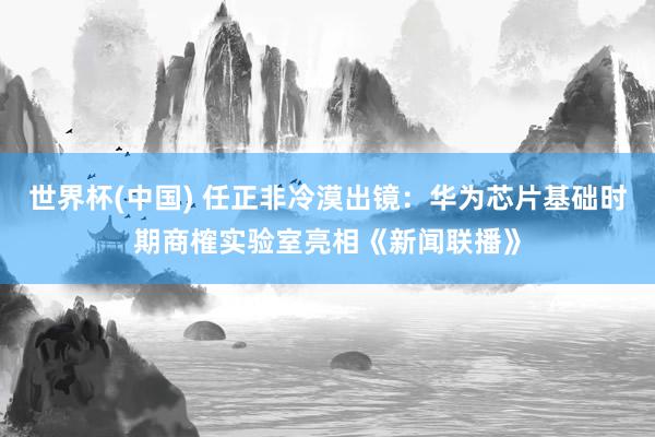 世界杯(中国) 任正非冷漠出镜：华为芯片基础时期商榷实验室亮相《新闻联播》