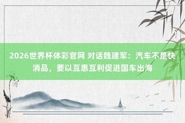 2026世界杯体彩官网 对话魏建军：汽车不是快消品，要以互惠互利促进国车出海