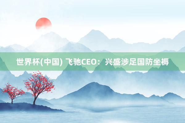 世界杯(中国) 飞驰CEO：兴盛涉足国防坐褥