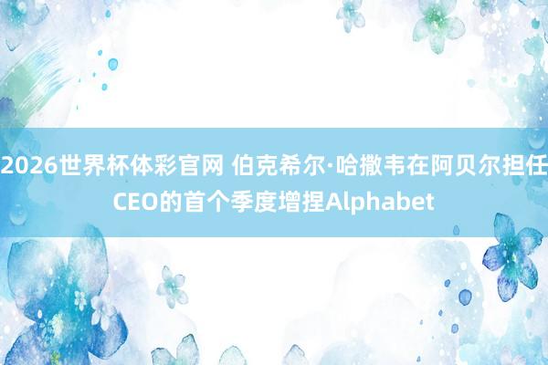 2026世界杯体彩官网 伯克希尔·哈撒韦在阿贝尔担任CEO的首个季度增捏Alphabet