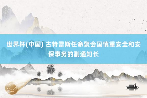 世界杯(中国) 古特雷斯任命聚会国慎重安全和安保事务的副通知长