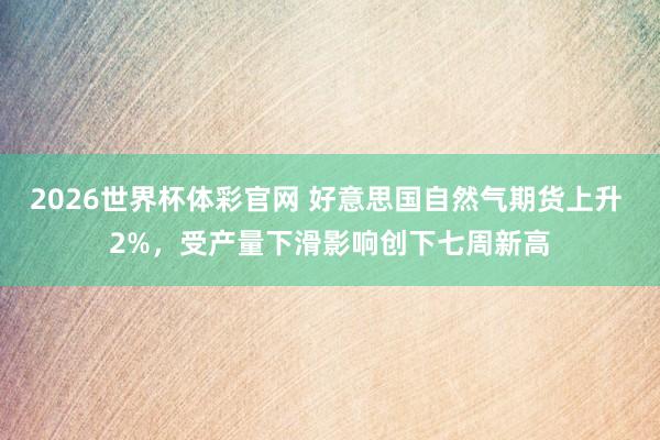2026世界杯体彩官网 好意思国自然气期货上升 2%，受产量下滑影响创下七周新高