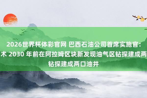 2026世界杯体彩官网 巴西石油公司首席实施官：巴油霸术 2030 年前在阿拉姆区块新发现油气区钻探建成两口油井