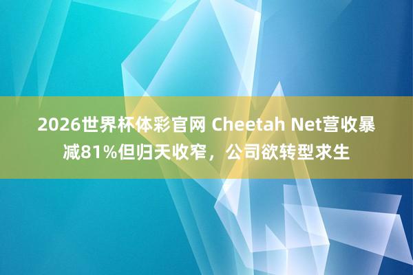 2026世界杯体彩官网 Cheetah Net营收暴减81%但归天收窄，公司欲转型求生
