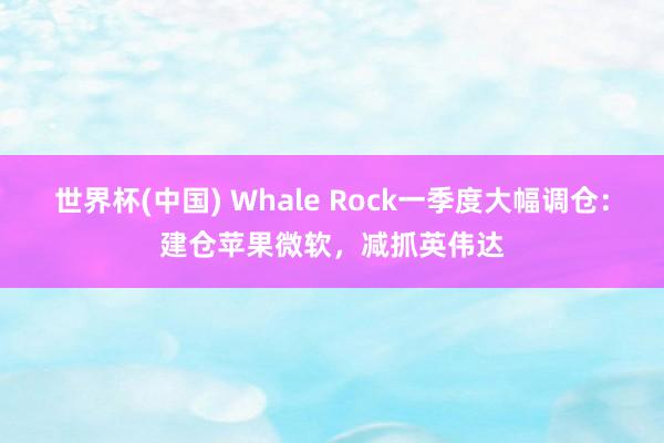 世界杯(中国) Whale Rock一季度大幅调仓：建仓苹果微软，减抓英伟达