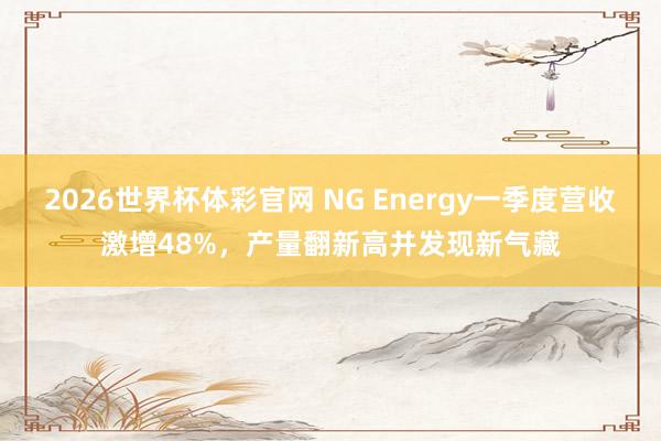 2026世界杯体彩官网 NG Energy一季度营收激增48%，产量翻新高并发现新气藏