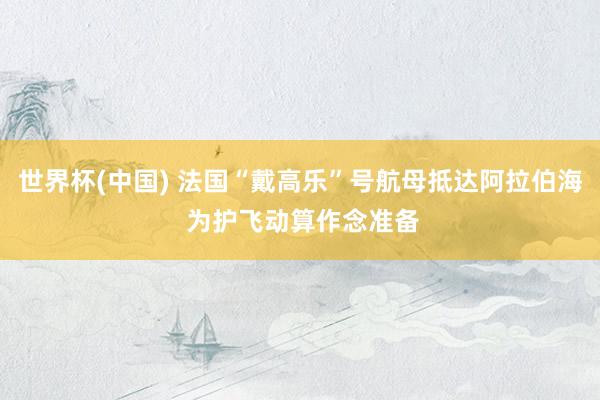 世界杯(中国) 法国“戴高乐”号航母抵达阿拉伯海 为护飞动算作念准备