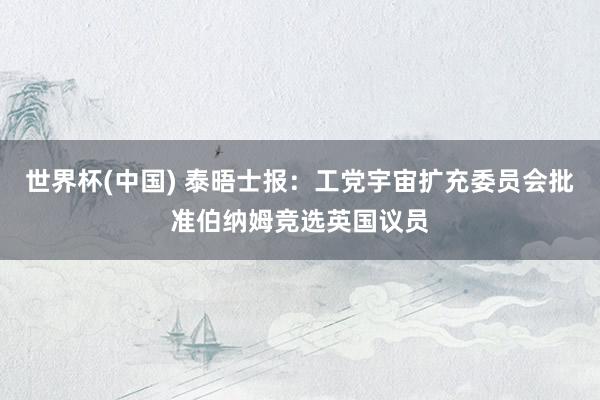 世界杯(中国) 泰晤士报：工党宇宙扩充委员会批准伯纳姆竞选英国议员