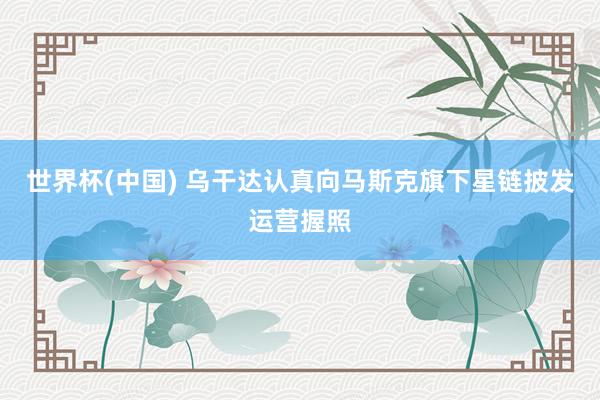 世界杯(中国) 乌干达认真向马斯克旗下星链披发运营握照