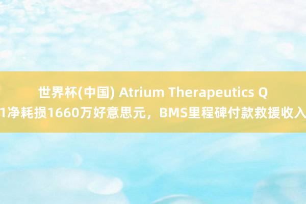 世界杯(中国) Atrium Therapeutics Q1净耗损1660万好意思元，BMS里程碑付款救援收入