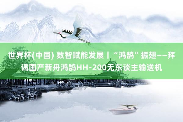 世界杯(中国) 数智赋能发展丨“鸿鹄”振翅——拜谒国产新舟鸿鹄HH-200无东谈主输送机