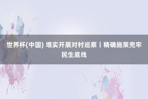 世界杯(中国) 塌实开展对村巡察丨精确施策兜牢民生底线