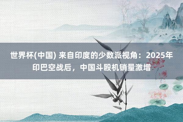 世界杯(中国) 来自印度的少数派视角：2025年印巴空战后，中国斗殴机销量激增