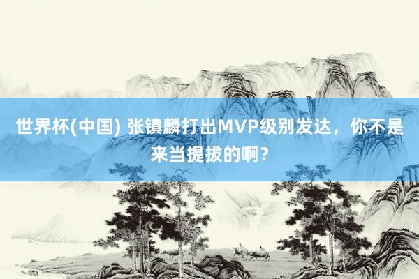 世界杯(中国) 张镇麟打出MVP级别发达，你不是来当提拔的啊？