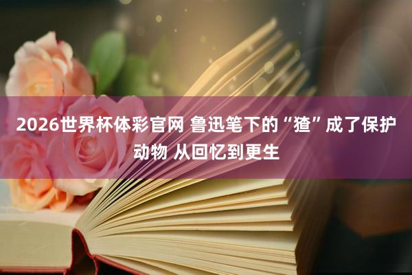 2026世界杯体彩官网 鲁迅笔下的“猹”成了保护动物 从回忆到更生