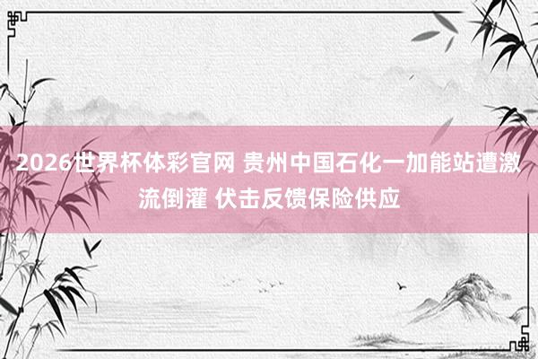 2026世界杯体彩官网 贵州中国石化一加能站遭激流倒灌 伏击反馈保险供应