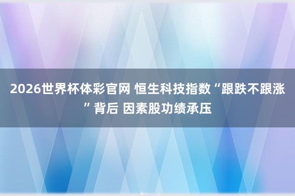 2026世界杯体彩官网 恒生科技指数“跟跌不跟涨”背后 因素股功绩承压