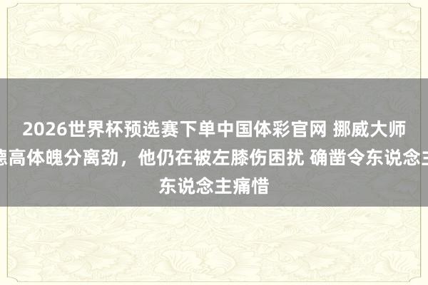 2026世界杯预选赛下单中国体彩官网 挪威大师：厄德高体魄分离劲，他仍在被左膝伤困扰 确凿令东说念主痛惜
