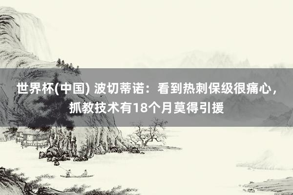 世界杯(中国) 波切蒂诺：看到热刺保级很痛心，抓教技术有18个月莫得引援