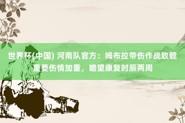世界杯(中国) 河南队官方：姆布拉带伤作战致髋重要伤情加重，瞻望康复时辰两周