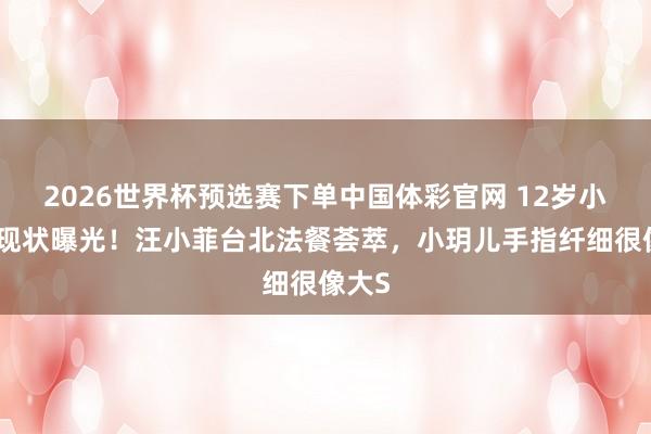 2026世界杯预选赛下单中国体彩官网 12岁小玥儿现状曝光！汪小菲台北法餐荟萃，小玥儿手指纤细很像大S
