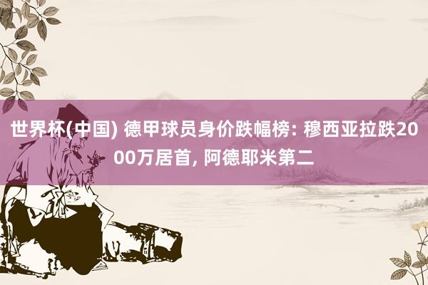 世界杯(中国) 德甲球员身价跌幅榜: 穆西亚拉跌2000万居首， 阿德耶米第二