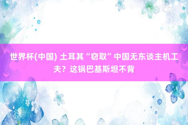 世界杯(中国) 土耳其“窃取”中国无东谈主机工夫？这锅巴基斯坦不背