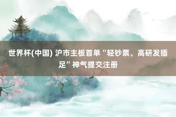 世界杯(中国) 沪市主板首单“轻钞票、高研发插足”神气提交注册