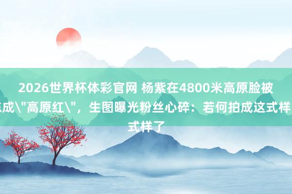 2026世界杯体彩官网 杨紫在4800米高原脸被冻成