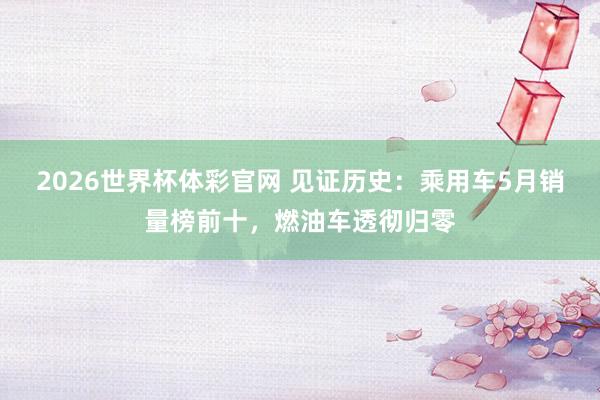 2026世界杯体彩官网 见证历史：乘用车5月销量榜前十，燃油车透彻归零