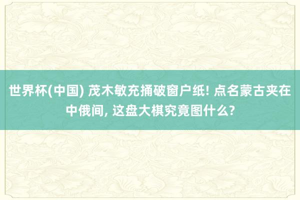 世界杯(中国) 茂木敏充捅破窗户纸! 点名蒙古夹在中俄间， 这盘大棋究竟图什么?