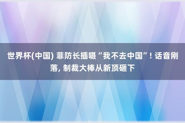 世界杯(中国) 菲防长插嗫“我不去中国”! 话音刚落, 制裁大棒从新顶砸下