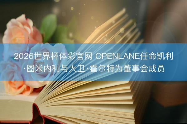 2026世界杯体彩官网 OPENLANE任命凯利·图米内利与大卫·霍尔特为董事会成员