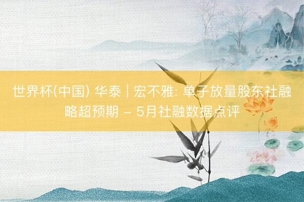世界杯(中国) 华泰 | 宏不雅: 单子放量股东社融略超预期 - 5月社融数据点评