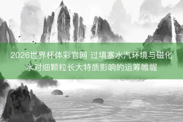 2026世界杯体彩官网 过填塞水汽环境与磁化水对细颗粒长大特质影响的运筹帷幄