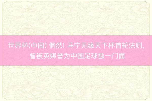 世界杯(中国) 惘然! 马宁无缘天下杯首轮法则， 曾被英媒誉为中国足球独一门面