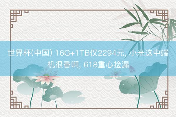 世界杯(中国) 16G+1TB仅2294元， 小米这中端机很香啊， 618重心捡漏